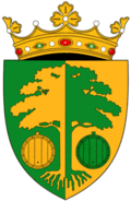 Straseni rajon coa